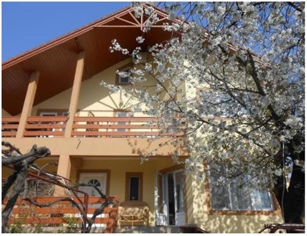 Arcani Pensiunea Pentru Tine Prietene חדר תמונה