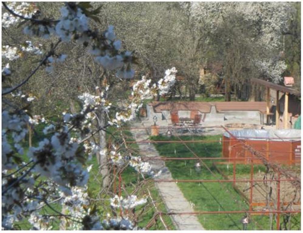 Arcani Pensiunea Pentru Tine Prietene חדר תמונה